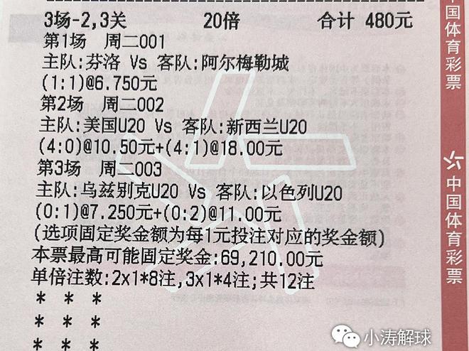 2024今晚香港开特马|全面释义解释落实_专享版210.332