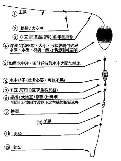 大力马手竿海竿线组，探索现代钓鱼技术的核心要素