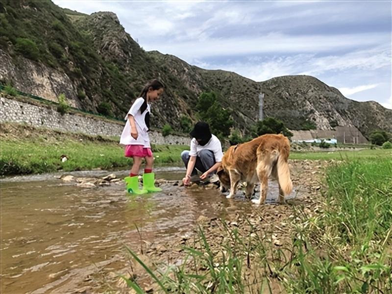 奇妙森林露营烧烤，一场与大自然的亲密接触