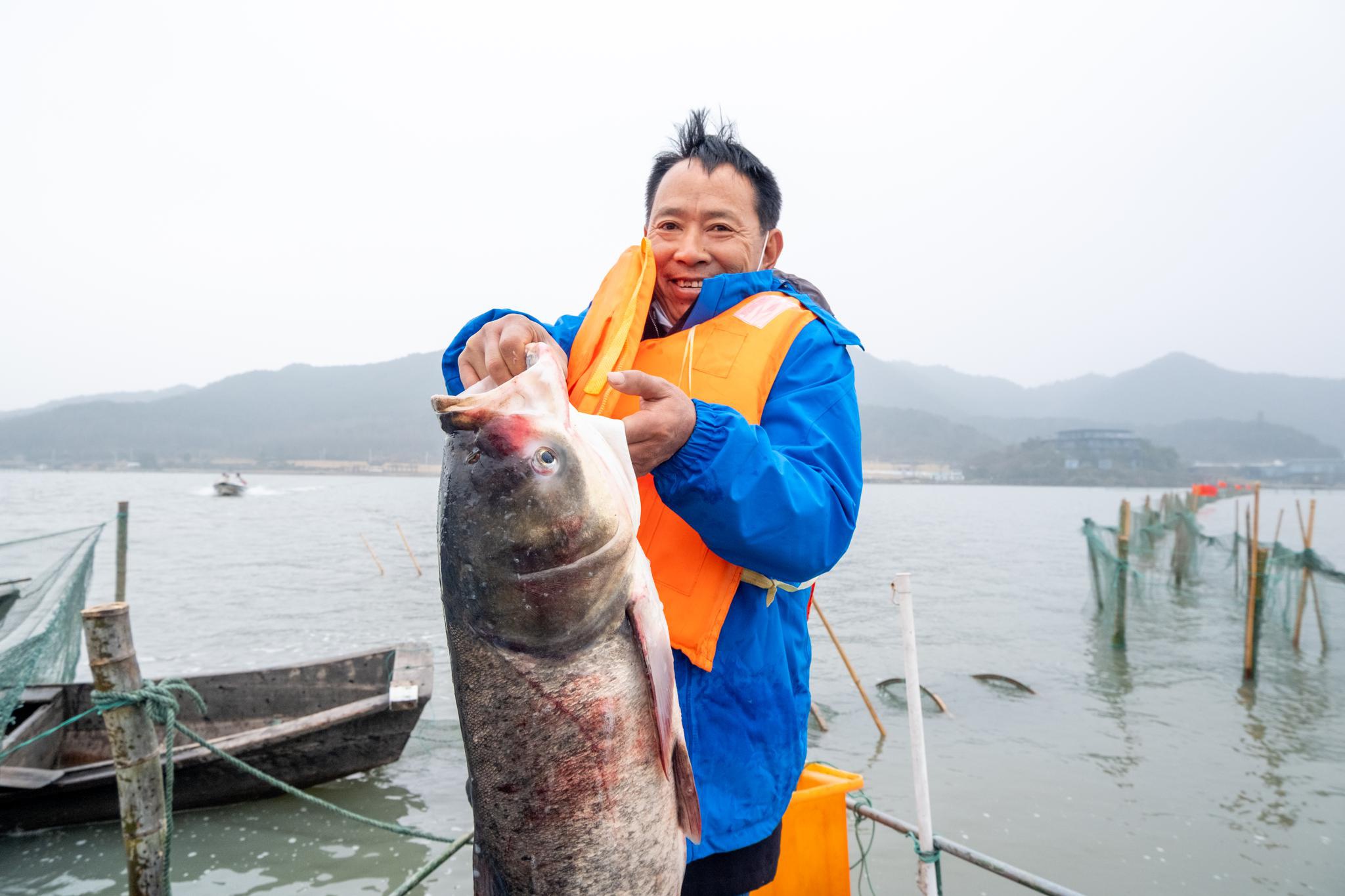 千岛湖邵记鱼码头地址——探访千岛湖的渔家风情