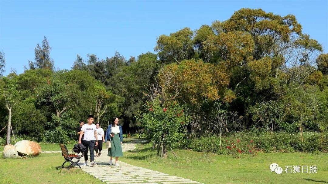 室内绿植盆栽广告，绿意盎然，生活更美