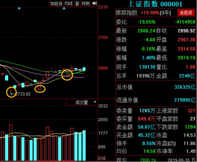 深入解析，6.3米8号大力马主线与碳氟线的完美结合